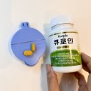 유니클로 민소매 백지영넥가드