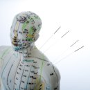 리더스용봉한방병원 이미지