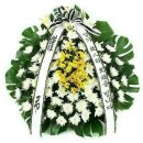 은평-020 이미지