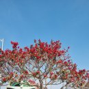 문화마을길 이미지