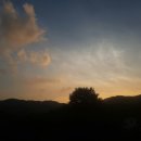 중부농장 이미지