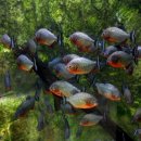 서천공원 이미지