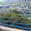 갈매기 마을 이미지