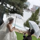 연헤어 | 헤어변형_그날의 연(蓮)헤어변형 후기(지연 원장)