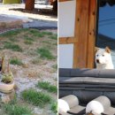 소이한옥 이미지