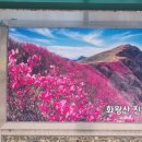 화왕산삼겹살 이미지