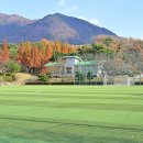 남산녹지공원 축구장 이미지