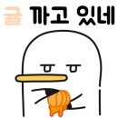 헤이미쉬풀빌라 펜션 이미지