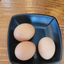 경남 고성 황포냉면 웨이팅 후기