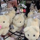 캑티 가챠샵(CACTI GACHA SHOP) 종각점 | [인형뽑기] 깜자 인형 키링은 캑티 가챠샵 (CACTI GACHA SHOP) - 건대 수유 잠실 종각점 등