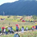 산소카폐 청송정원 (1) 이미지