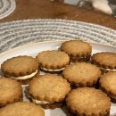 덴탈메이플 이미지