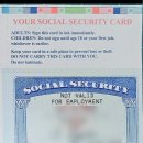 패스번역일반 행정사사무소 이미지