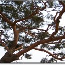 여기산공원 이미지