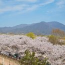 조정경기장 화장실(B축구장) | 🌸미사경정공원 완벽 가이드 (운영정보, 주차장 추천, 방문 후기)