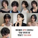 모던파마 | 한남 더모던화이불치 / 나나펌 후기 빈티지펌 짧은단발펌 인생머리(feat.유카 디자이너)