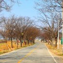 강동로5-70 | 구미 해평면 태조산 도리사