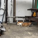 [영덕 오션뷰 카라반캠핑장] 겨울 캠핑 후기
