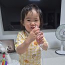 하동약국 | 신생아부터 두돌아기 모두 거부없는 육아필수템 구딩 휴대용콧물흡입기 후기