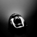 다라1천 이미지