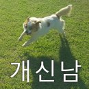 신남 네이버블로그