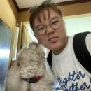 핫도그유니언 이미지