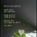 다독임 이미지