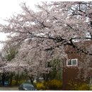 삼풍환경 이미지