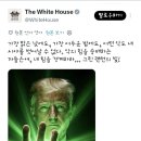 백악관 X 계정 근황 이미지