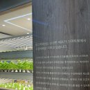 스마트브런치카페