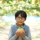 누렁이과수원
