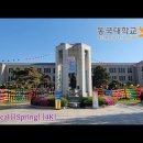 ▣부처님오신날 준비 동국대학교 드라이브 투어! [동국대][동국대학교][동국대108배][석가탄신일][부처님오신날][동국대연등축제] 이미지