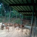 김원옥농장 이미지