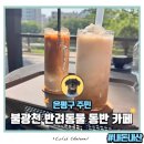 샤워하는 강아지 | 은평구 응암역 불광천 강아지동반카페, 커피 그리고 #내돈내산