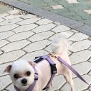 와락 이미지