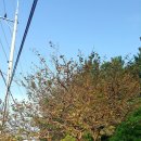 이기대공원로 이미지