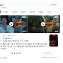 17 | ~11/17 일상, 자연산 대 광어~고등어