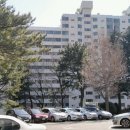 장림협진태양아파트 이미지