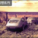 오렌지카서비스 | 제주도, 렌터카, 추천 오렌지렌트카 제주도 오렌지렌트카, 신뢰도 높음