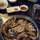 MAT(엠에이티) 이미지