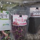 비허밍스터디카페광주 이미지