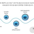 수앤모성형외과의원 이미지