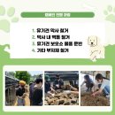 마노크리에이티브그룹 이미지