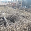 첨단1부동산중개사무소 이미지