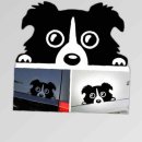 프리티도그 이미지