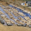 청주흥덕지구축구공원 이미지