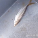 바다2호 이미지