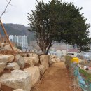 마전게이트볼장 이미지