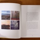 휘게 스타일(Hygge Style)