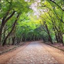 오동수 화장실 이미지